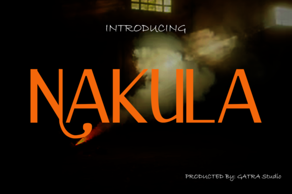 Nakula: A Playful Display Font for Web Design